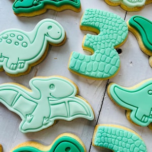Dinosaur theme birthday party fondant iced sugar cookies individually wrapped image 12