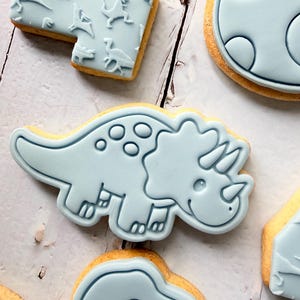 Dinosaur theme birthday party fondant iced sugar cookies individually wrapped image 14