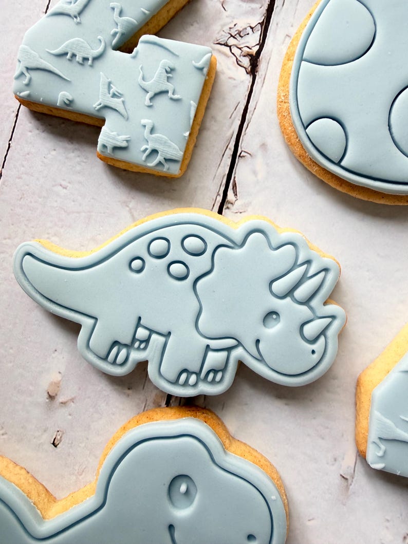 Dinosaur theme birthday party fondant iced sugar cookies individually wrapped image 14