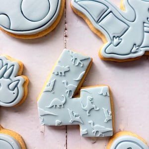 Dinosaur theme birthday party fondant iced sugar cookies individually wrapped image 15