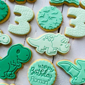 Dinosaur theme birthday party fondant iced sugar cookies individually wrapped image 9