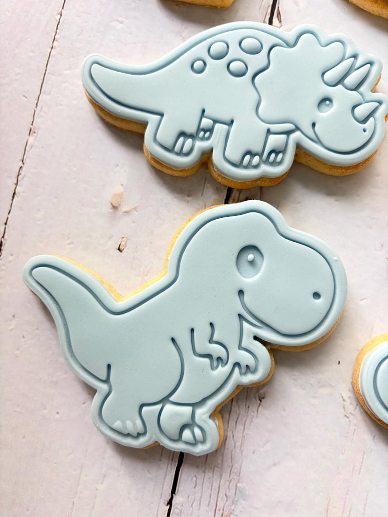 Dinosaur theme birthday party fondant iced sugar cookies individually wrapped image 18