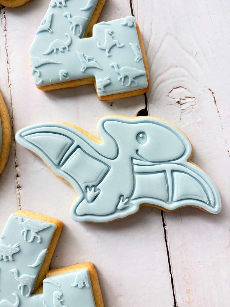 Dinosaur theme birthday party fondant iced sugar cookies individually wrapped image 19