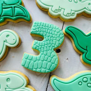 Dinosaur theme birthday party fondant iced sugar cookies individually wrapped image 10