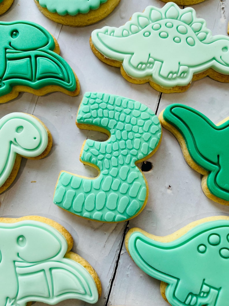 Dinosaur theme birthday party fondant iced sugar cookies individually wrapped image 10