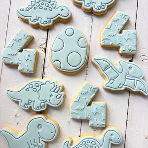 Dinosaur theme birthday party fondant iced sugar cookies individually wrapped image 20