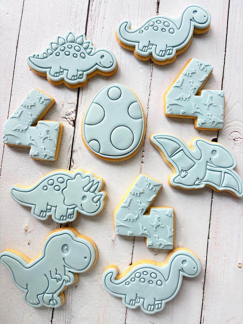 Dinosaur theme birthday party fondant iced sugar cookies individually wrapped image 20