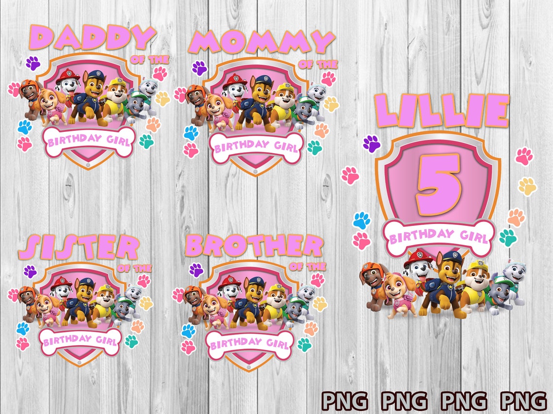 skye paw patrol birthday skye paw patrol birthday