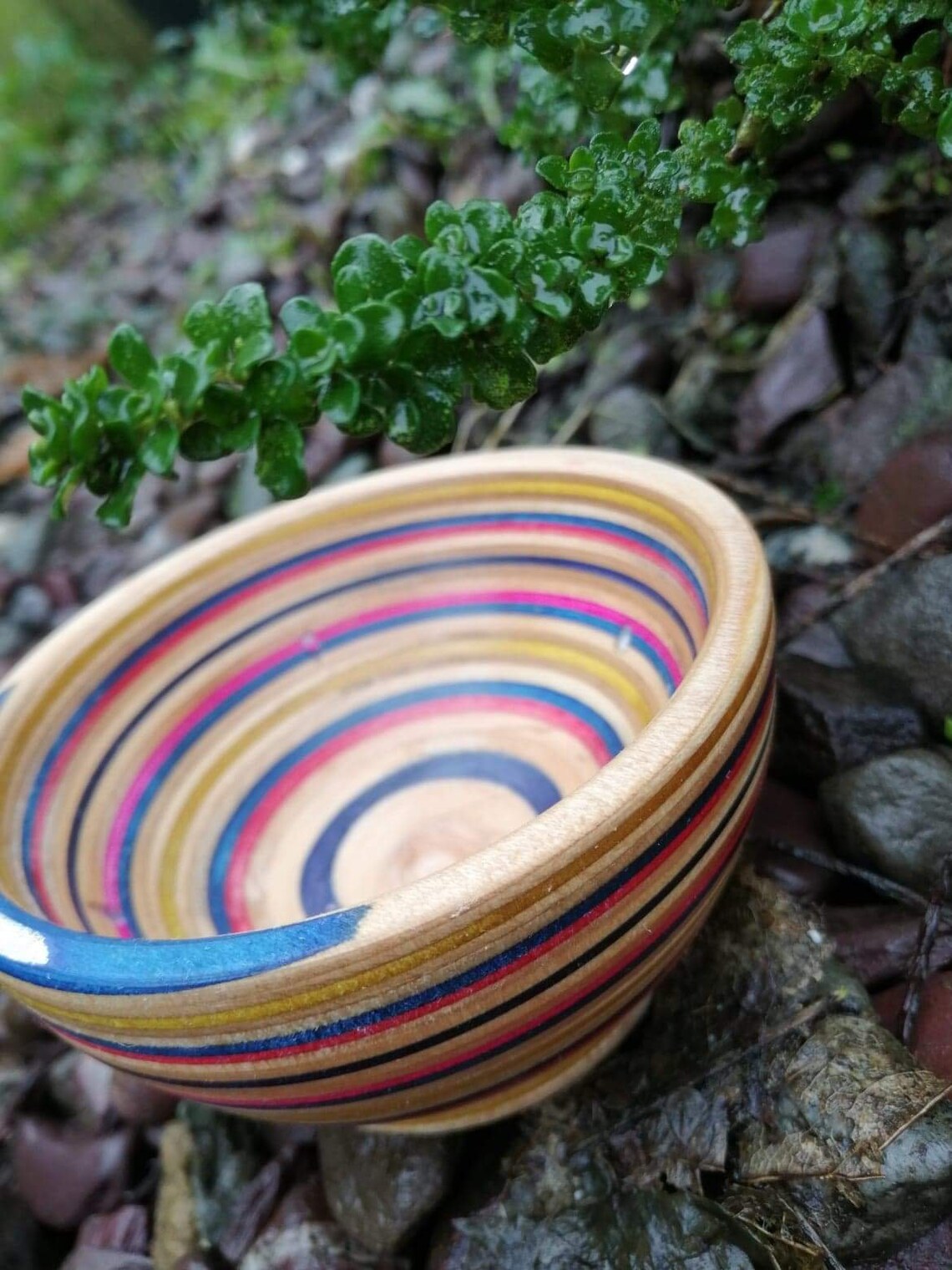 Trinket skateboard bowl Etsy