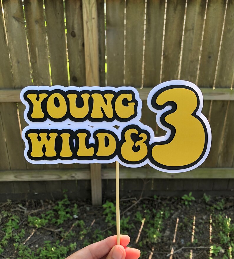 Wonmelody Groovy 3rd Birthday Cake Topper - Young Wild & Three, Retro Hippie Daisy Decor