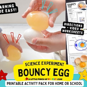 May include: A science experiment for kids to learn about the anatomy of an egg. The image shows a white egg, a yellow egg, and a clear egg, all with the text "BOUNCY EGG" on the bottom. The text "LEARNING MADE EASY!" is at the top of the image.