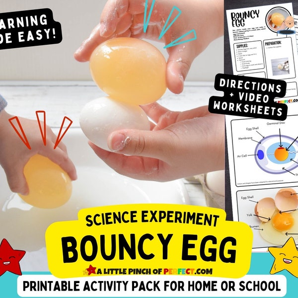 Bouncy Egg Experiment And Science Worksheets Activity Pack