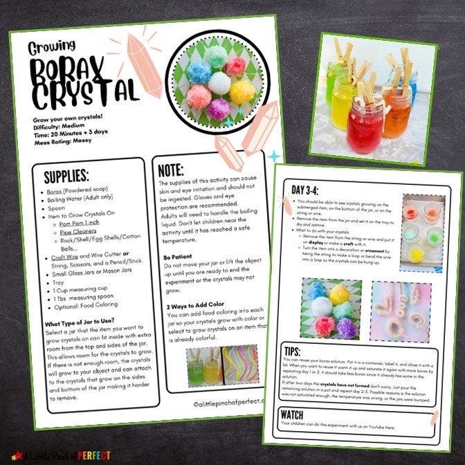 Borax Crystal Science Activity Pack: Homeschool Educational Worksheet ...