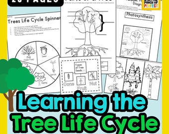Baum-Lebenszyklus Printable Pack | Wissenschaftliche Aktivitäten für Kinder | Vorschule | Kindergarten |  Hausschule | Kinderaktivität | Interaktives Notizbuch