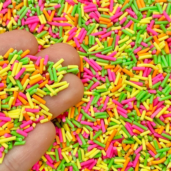 Summer Fun Fake Sprinkles for Slime or Decoden - Brightly Colored Clay Sprinkles  - Fimo Polymer Cute Craft Supplies - Faux Jimmies