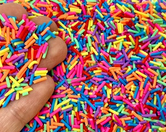 Rainbow Star Sprinkles for Slime Fake Sprinkles for Resin Inclusions Fimo  Polymer Faux Sprinkle Mix Circle Sprinkle Craft Supply 