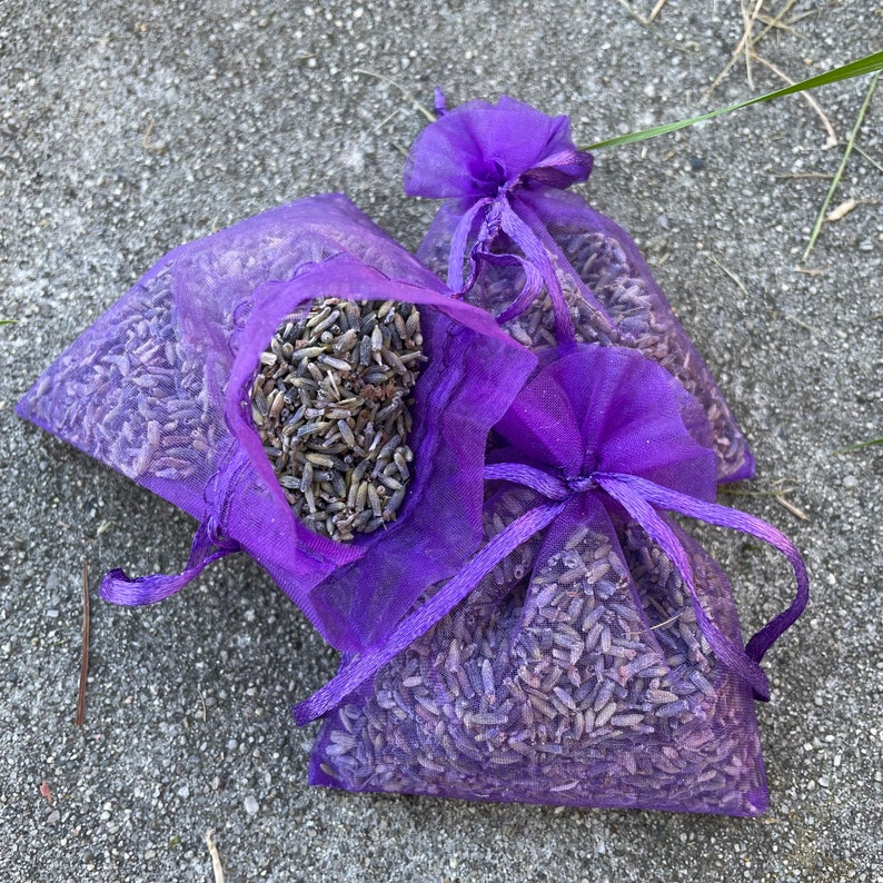 Lavender Sachets Moth Repellent for Yarn and Clothing Etsy