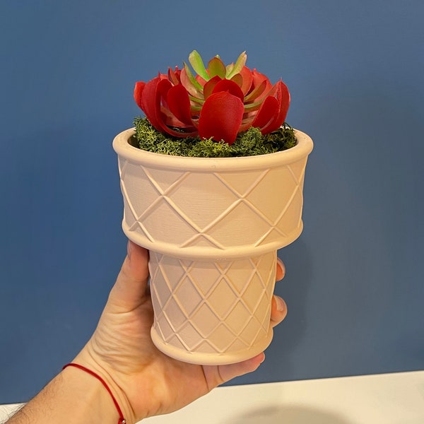 Ice Cream Cone Planter | Indoor Garden | Succulent Plants | Food Planter