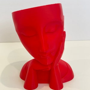 Face Planter Flowerpot, Bust Vase, Head Vase Planter, Pots for Plants,