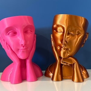 Face Planter Flowerpot, Bust Vase, Head Vase Planter, Pots for Plants,