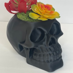 Succulent Skull Planter, Skull Head Pot, Skull Planter Pot