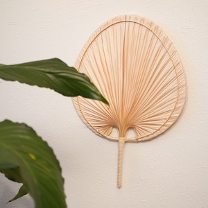 Dry Palm Leaf Fan- Decor Hanging  Fan -boho home decor FREE SHIPPING