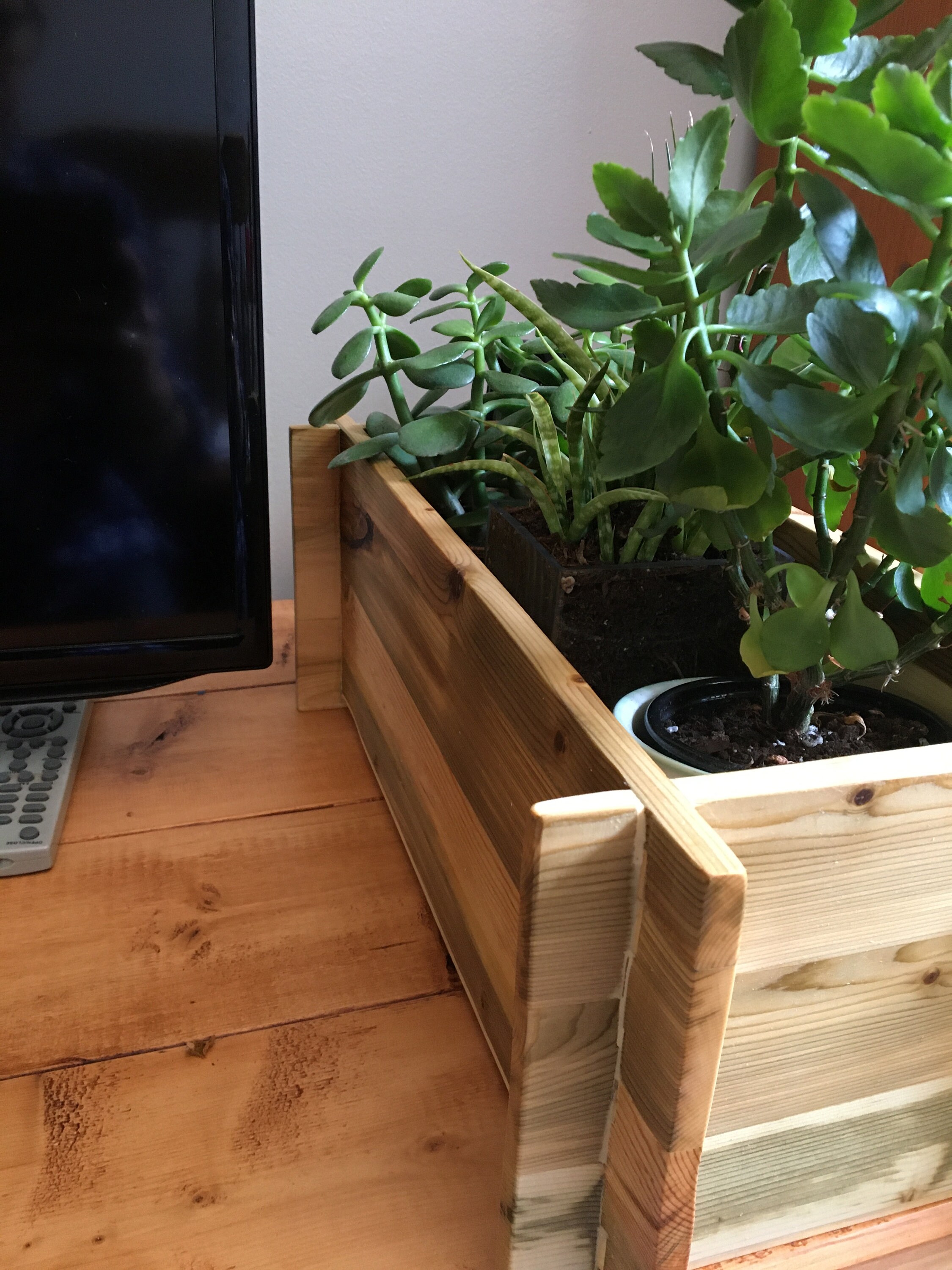 Übertopf aus Holz Innen oder OutdoorÜbertopf Pflanztopf Etsy