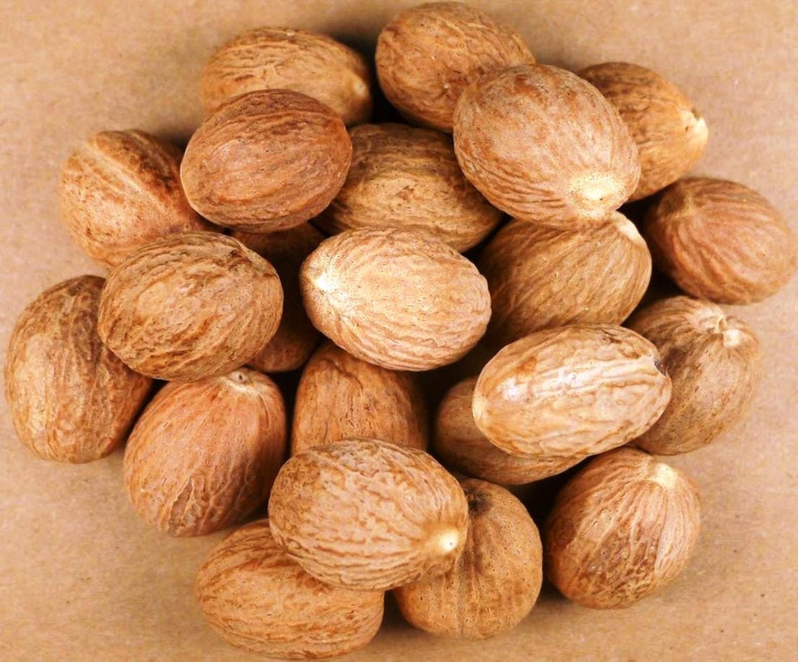 Indian Organic NUTMEGS Tropical Spice Whole Nutmegs jaifhal Etsy