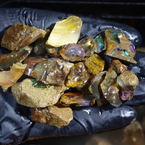 May include: A collection of rough opal stones in various shades of brown, green, yellow, and blue with iridescent flashes. The stones are held in a gloved hand.