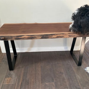 May include: A wooden bench with a live edge top and black metal legs. The bench is made of walnut wood and has a natural finish. A black and white dog is sniffing the bench.