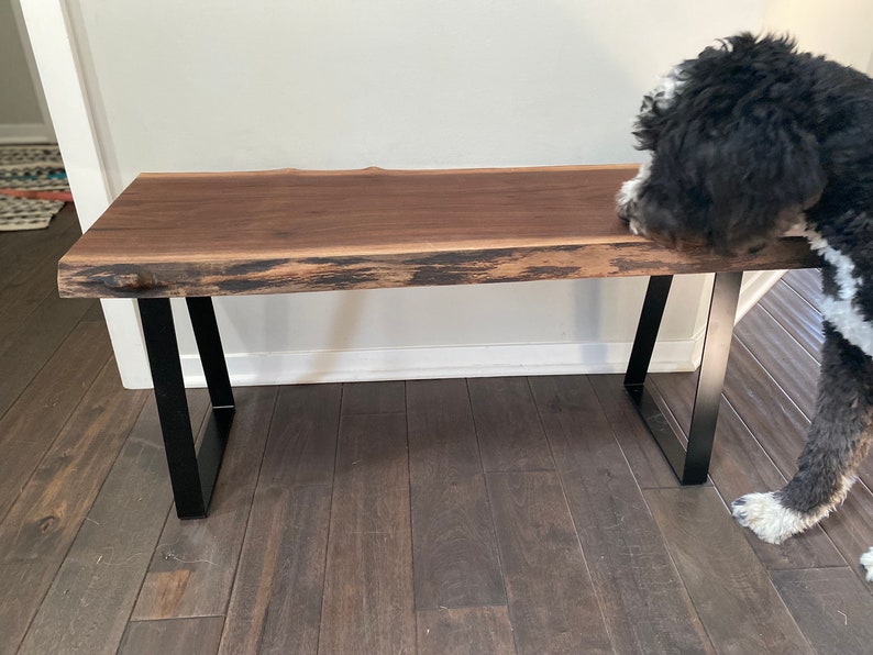 May include: A wooden bench with a live edge top and black metal legs. The bench is made of walnut wood and has a natural finish. A black and white dog is sniffing the bench.