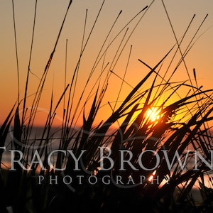 Digital Download, Downloadable, Wall Art Prints, Coastal Art Prints, Beach Prints, Beach Wall Art, Living Room Wall Art, Hilton Head SC