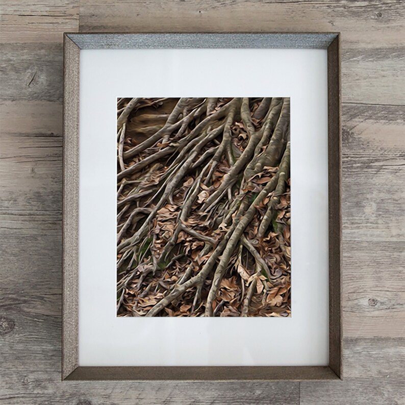 Fine Art Photography, Wall Art Prints, Abstract Wall Art, Driftwood