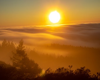 MOUNT TAMALPAIS SONNENUNTERGANG