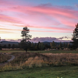 May include: A scenic view of a grassy field with a small pond in the foreground.  The sky is a vibrant pink and blue with wispy clouds.  There are several tall pine trees in the background.