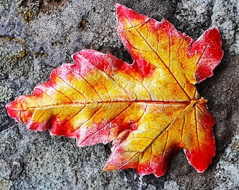 Autumn Maple Leaf Brooch Gift for Women, Charm Silver Organic Design Brooch, Unique Jewelry Gift for Wife, Christmas Gift for Her