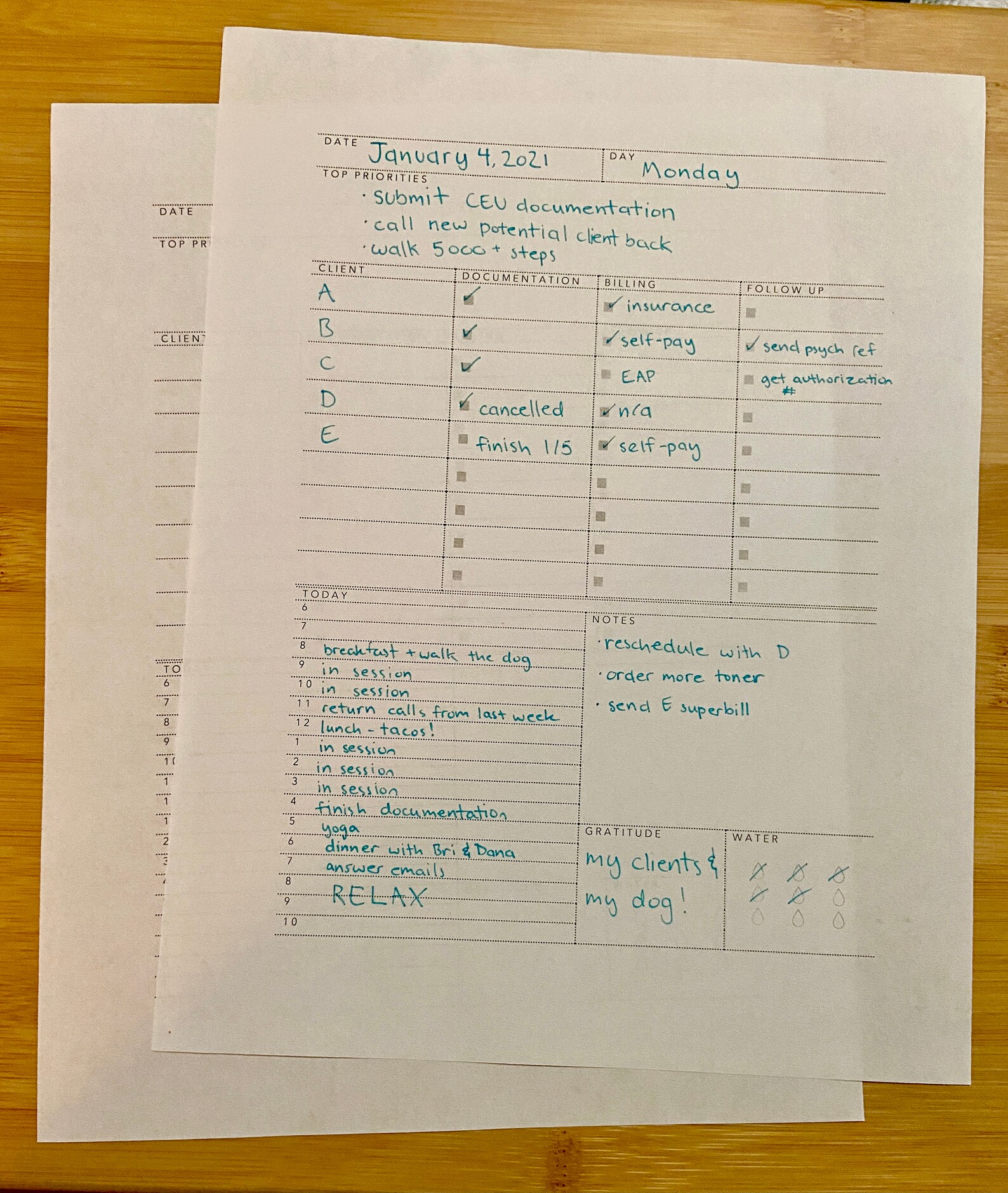 Daily Planner for Mental Health Professionals Etsy