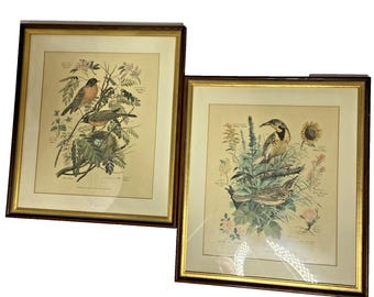 Pair Vtg 1957 Arthur Singer Framed Bird Wall Art Picture Print Robin Meadowlark