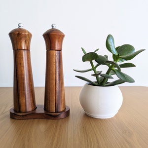 May include: Two wooden salt and pepper shakers with a dark brown wood finish and silver tops. The shakers are on a wooden base. A small potted plant with green leaves is in the background.