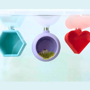 Magnetic Jumping Spider Hide, Custom Enclosure Decor, Tarantula Slings Vivarium Pet Habitat, Sphere, Heart, Hex, Hexagon, Accessories