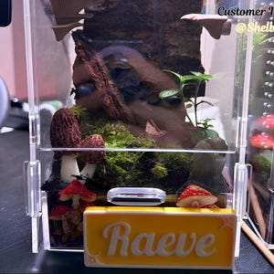 May include: A clear acrylic terrarium with a miniature mushroom and moss display. The terrarium features a yellow nameplate with the name "Raeve" in white script. The image includes the text "Customer Image @Shelby".