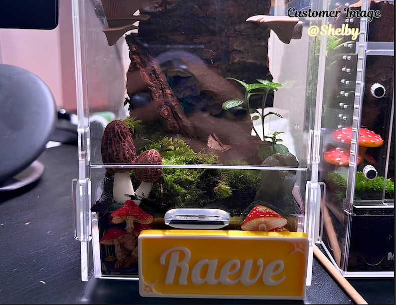 May include: A clear acrylic terrarium with a miniature mushroom and moss display. The terrarium features a yellow nameplate with the name "Raeve" in white script. The image includes the text "Customer Image @Shelby".