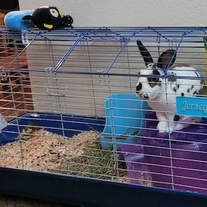 Personalized Rabbit Name Sign, Custom Cage Nameplate, Bunny Pet Tag ...