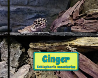 Magnetic Reptile Personalized Name Sign for Leopard Gecko, Crested Gecko, Lizard, Snakes, Hermit Crab with Scientific Name Plate Accessories