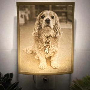 A white lithophane night light with a picture of a dog inside. The dog is a brown and white cocker spaniel with a tag around its neck. The night light is plugged into an outlet.