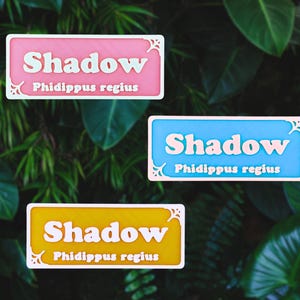 May include: Three rectangular stickers with the word "Shadow" in white, and "Phidippus regius" below. The stickers are pink, blue, and yellow with white decorative borders. The background is a lush green foliage.