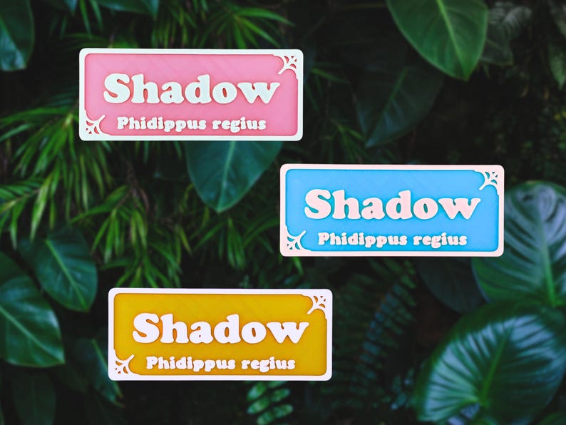 May include: Three rectangular stickers with the word "Shadow" in white, and "Phidippus regius" below. The stickers are pink, blue, and yellow with white decorative borders. The background is a lush green foliage.