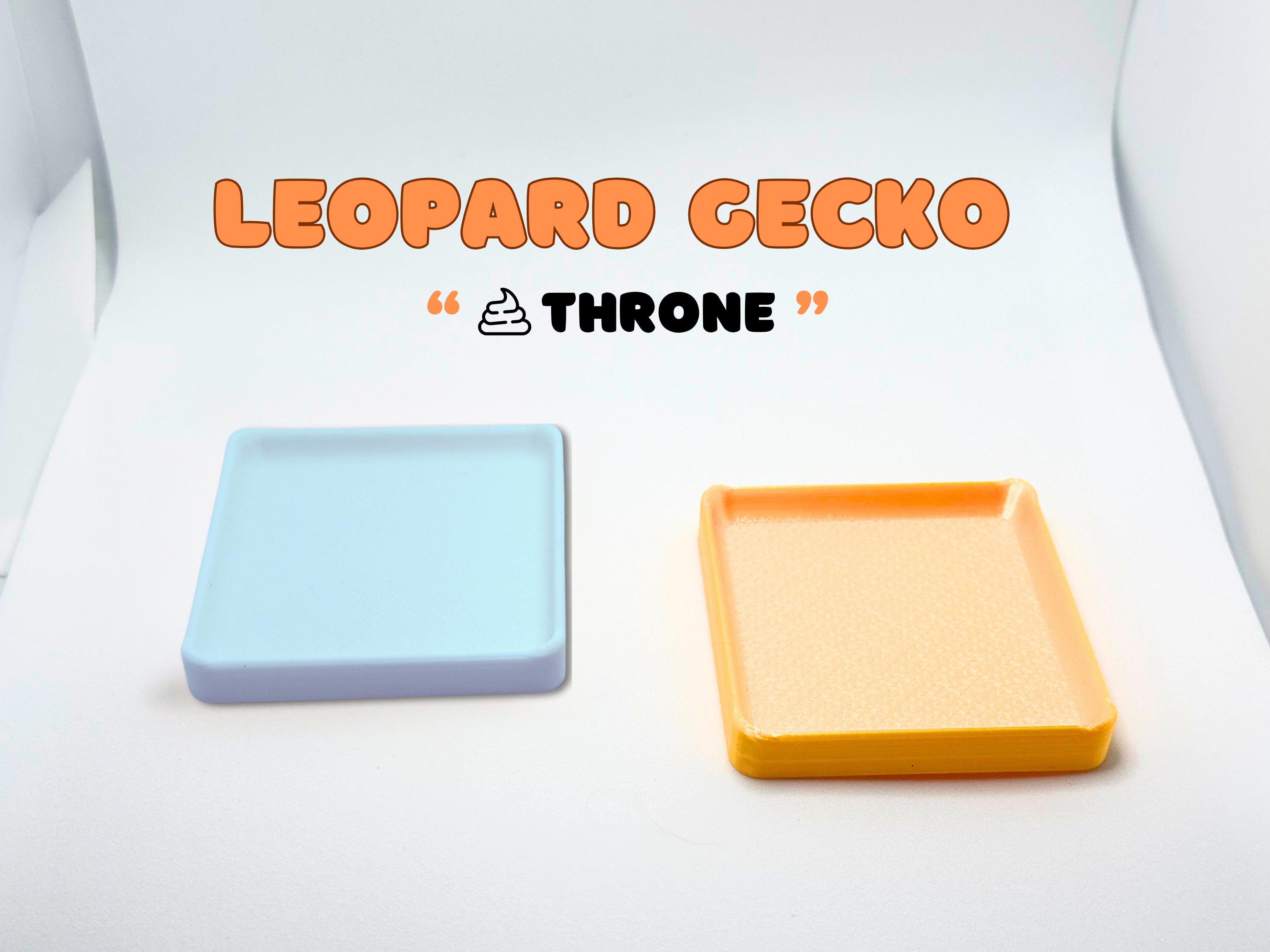Leopard Gecko Litter Box Etsy