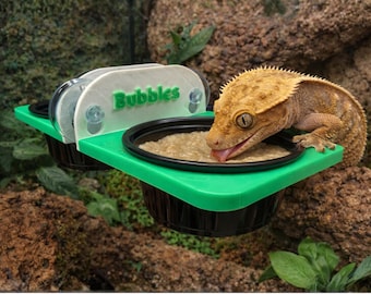 Personalized Reptile Feeding Ledge, Custom Name Gecko Accessories