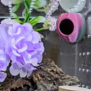Corner Magnetic Jumping Spider Hide, Custom Enclosure Decor, Slings Vivarium Pet Habitat, Sphere Hide Accessories, Mourning Gecko Hide